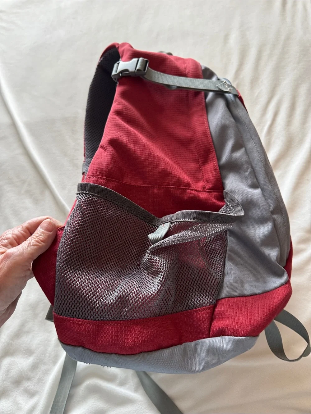 Kelty Roam back pack